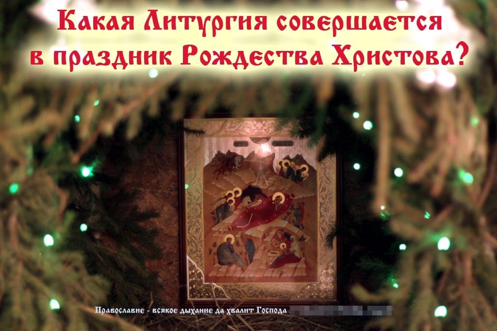 Какая Литургия совершается в праздник Рождества Христова?